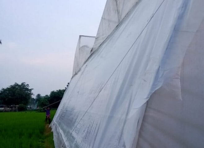plastic greenhouse sheet