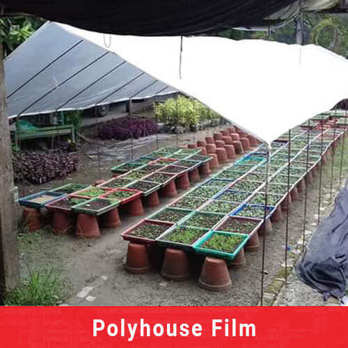 polyhouse film