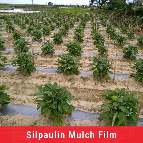 silpaulin mulch film