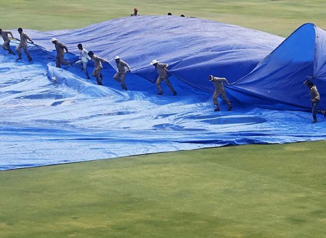 cricket ground cover