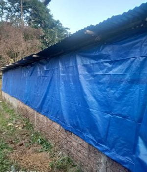 poultry-curtain-cover