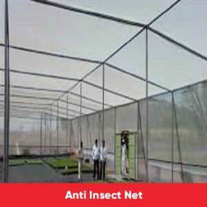 anti insect net