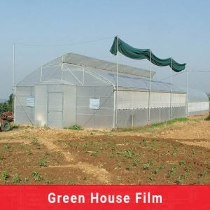 suncool green house film