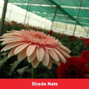 shade nets