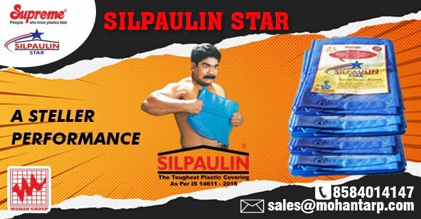 Silpaulin Star - A Steller Performance