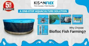 Why Choose Biofloc Fish Farming