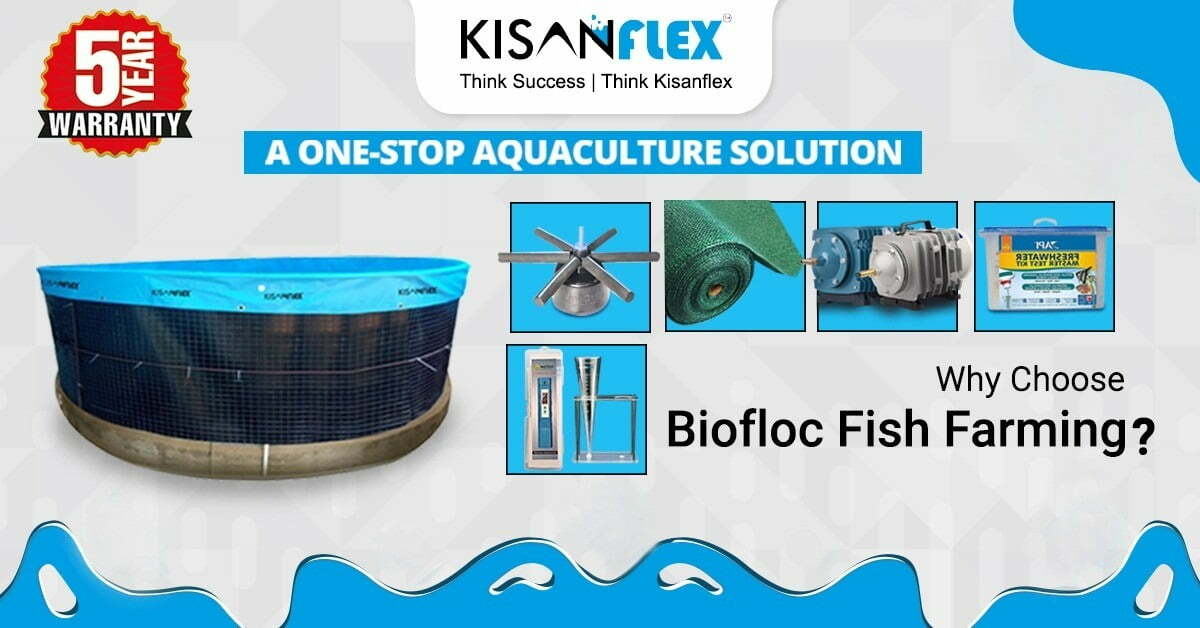choosing biofloc fish farming