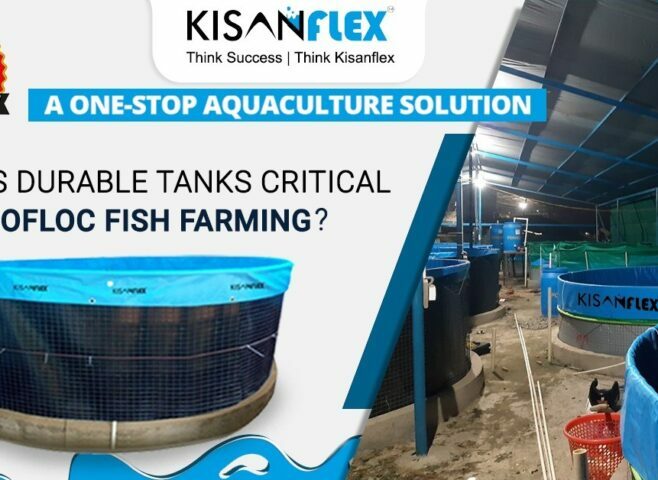 biofloc fish farming tanks