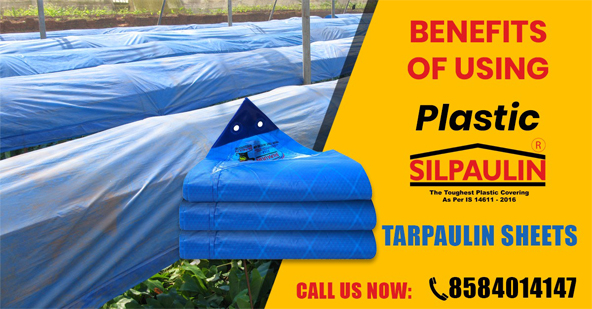 plastic tarpaulin sheets