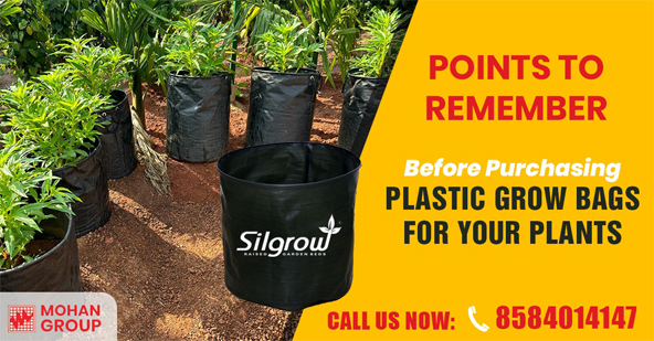 silgrow grow bags