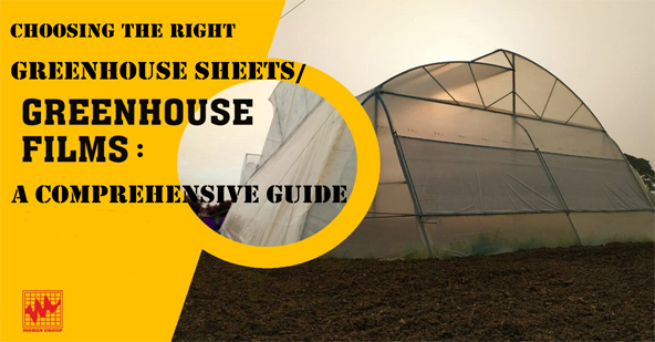 greenhouse films