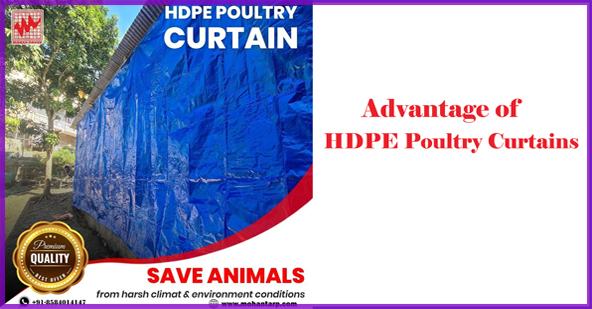 hdpe poultry curtains