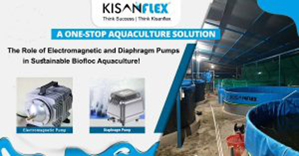kisanflex pumps