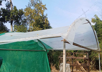 greenhouse sheet