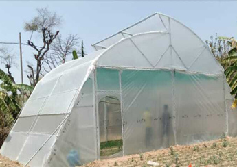 plastic greenhouse sheet