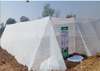 anti insect net_1