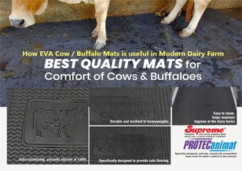 cow and buffaloes' mats