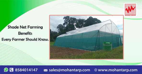shade net farming