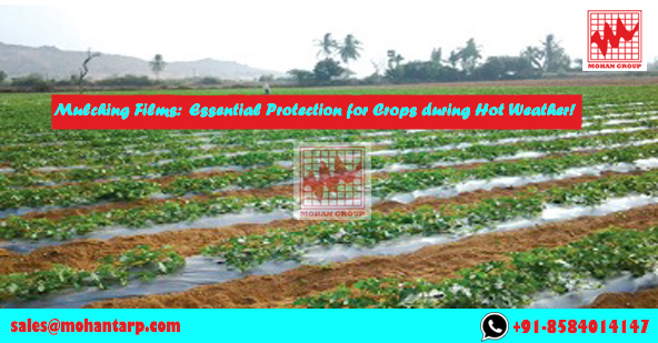 plastic mulching films