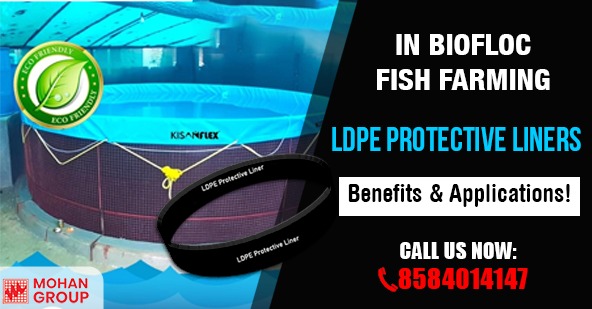 LDPE protective liner