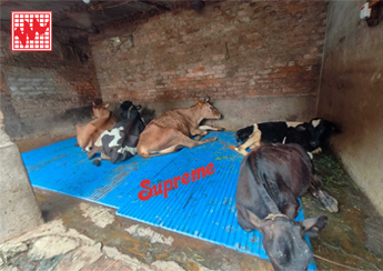 supreme cow mats
