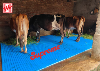 supreme cow mat_2
